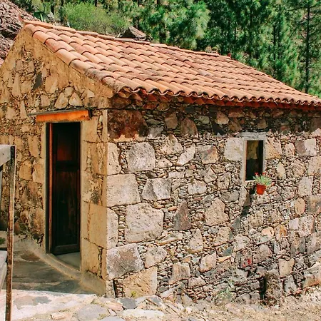 Lomito Del Pino Feriehus